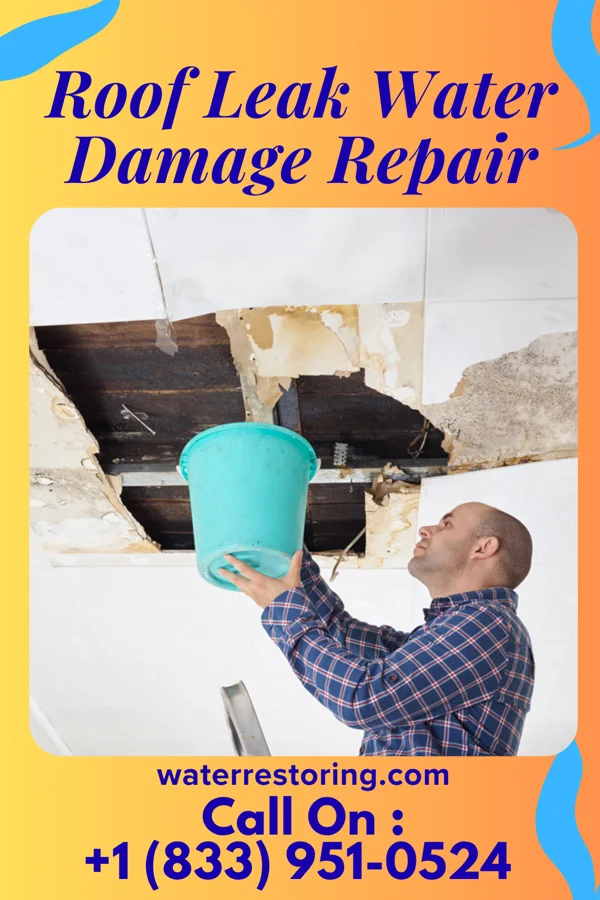 Roof Leak Water Damage Repair in Fredonia, AR